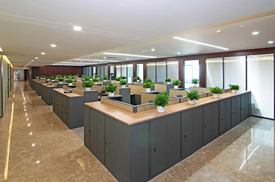 问鼎pg下载入口